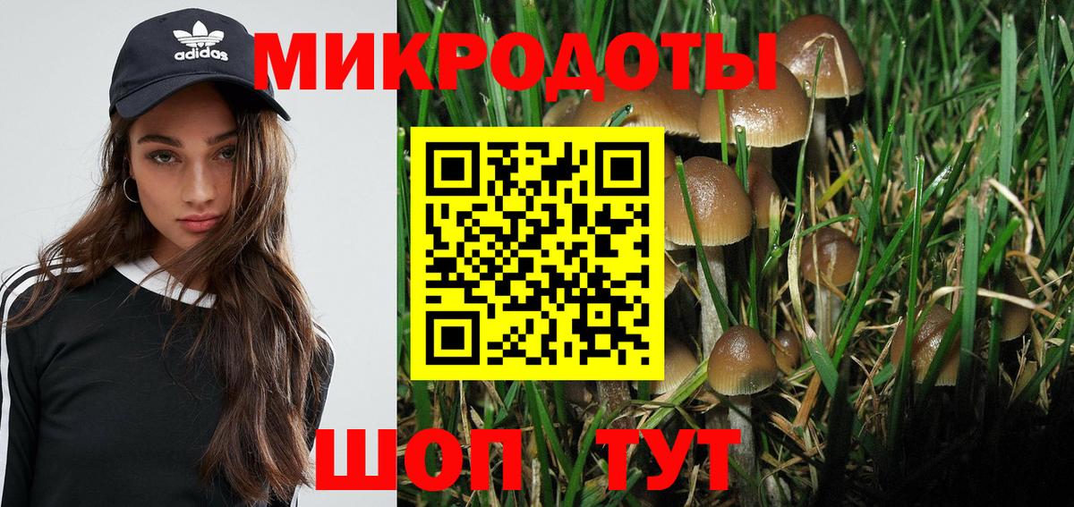 Псилоцибиновые грибы ЛСД Лобня
