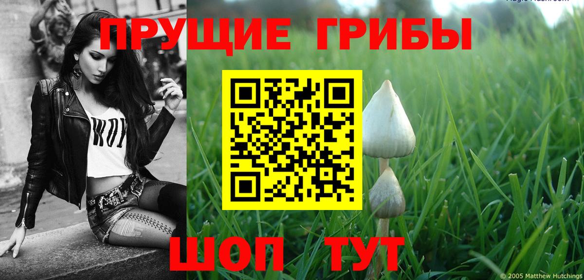 Псилоцибиновые грибы Psilocybine cubensis  Вход с VPN  Лобня 